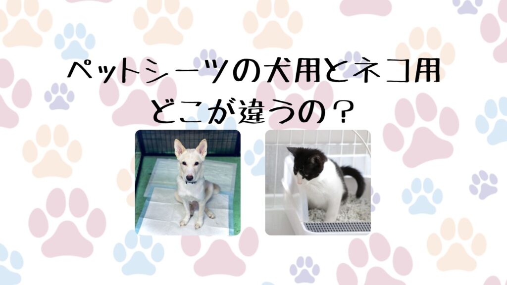 ペット シーツ 犬 猫 違い