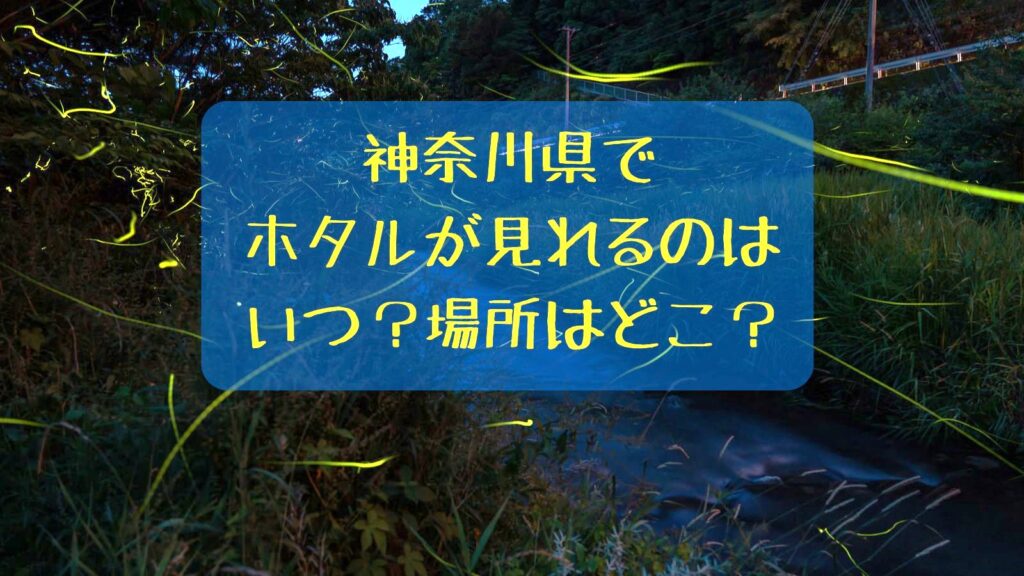 神奈川県でホタルが見れる場所はどこ？ホタルが見れる時期はいつ？