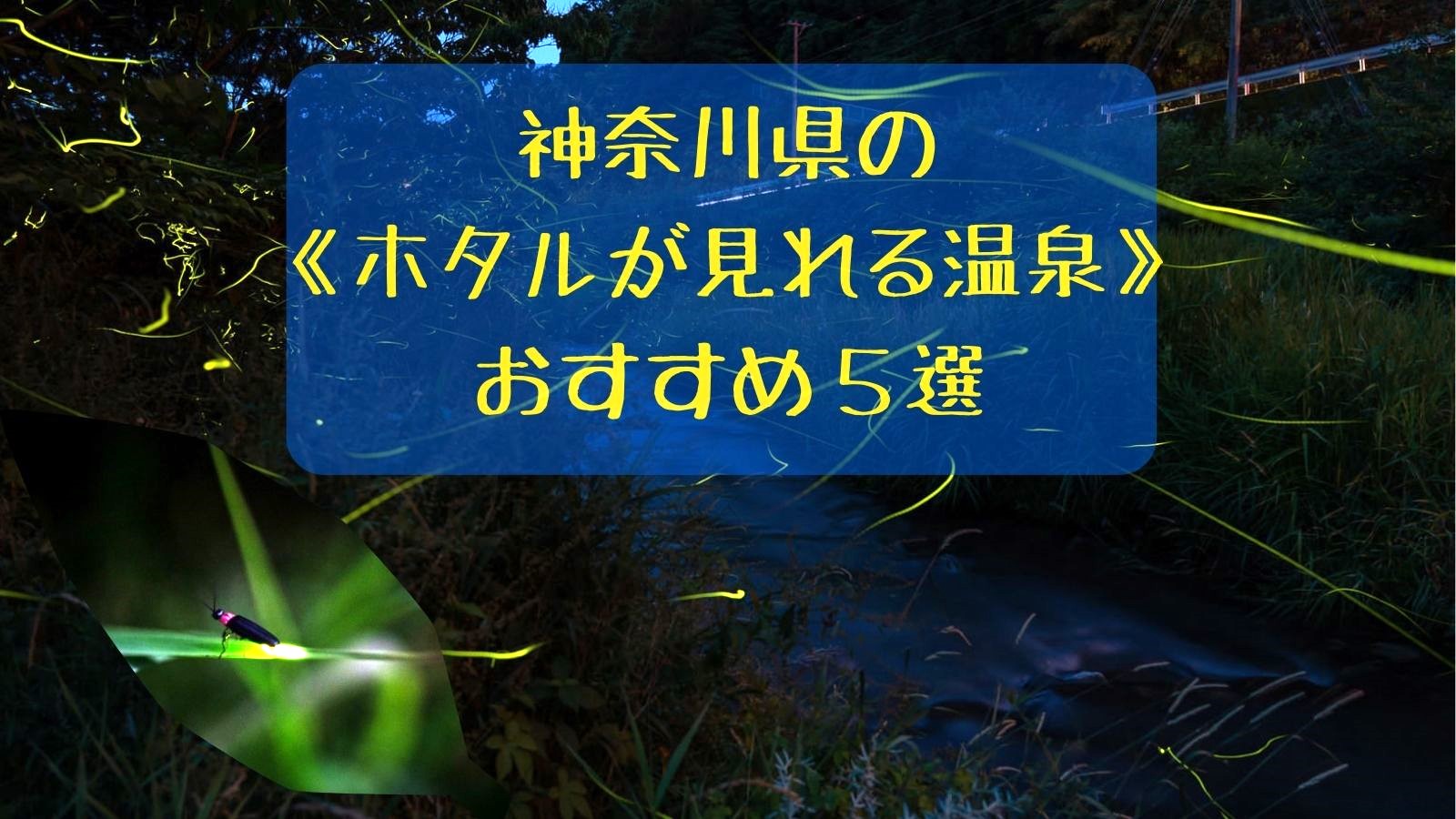 神奈川県のホタルが見れる温泉　おすすめ5選