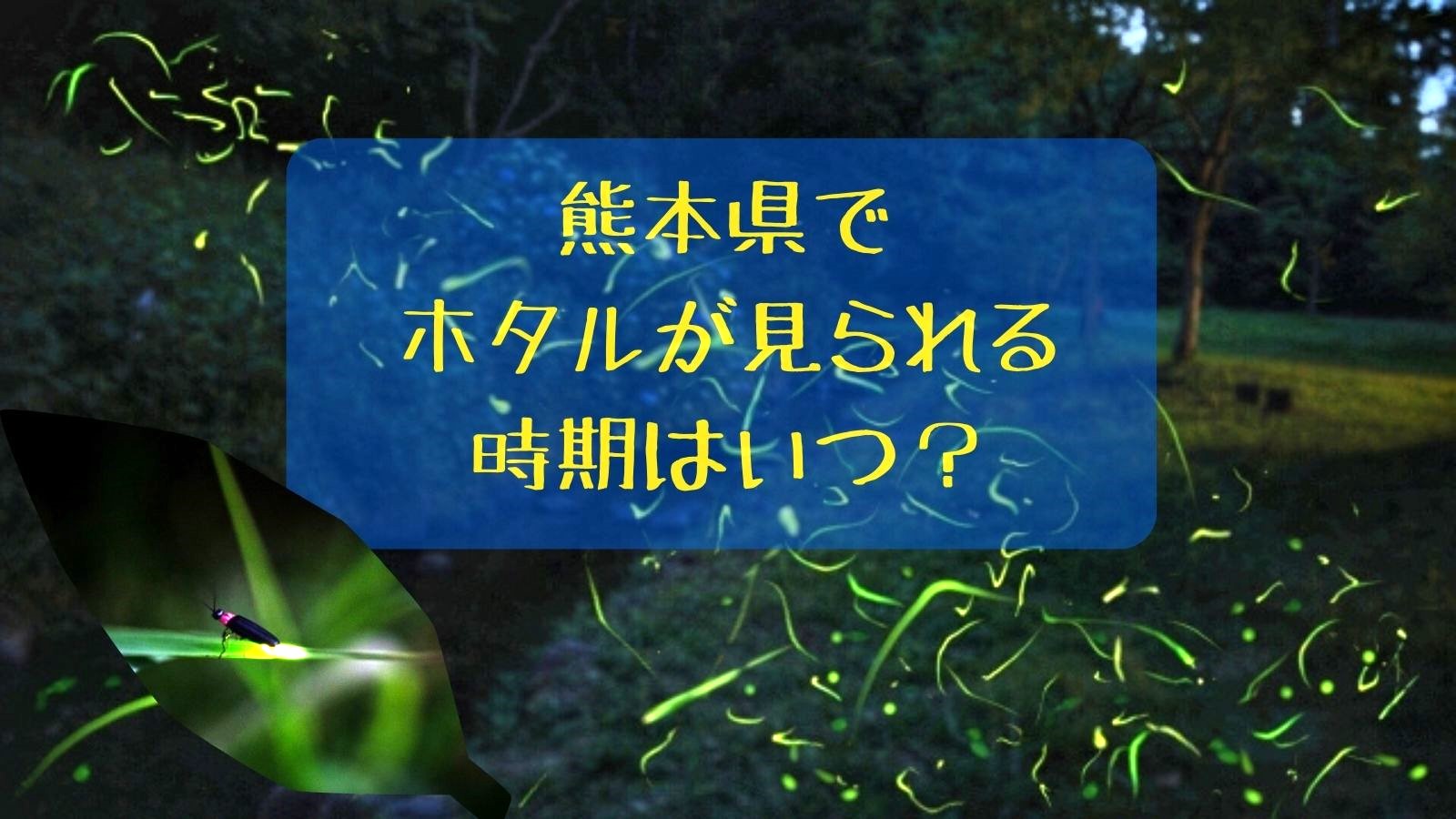 熊本県でホタルが見られる時期はいつ？