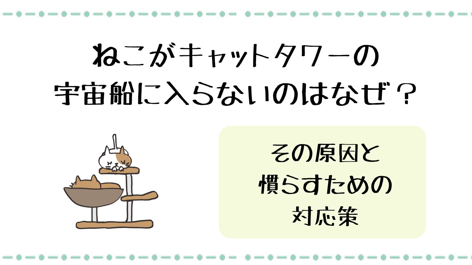 猫がキャットタワーの宇宙船に入らないのはなぜ？その理由と慣らすための対応策