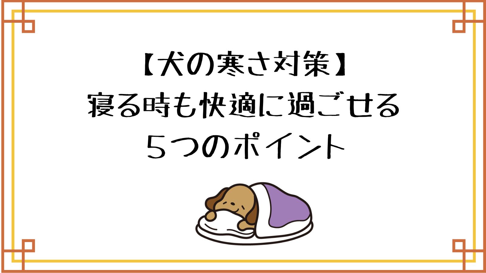 犬の寒さ対策・寝る時も快適に過ごせる５つのポイント