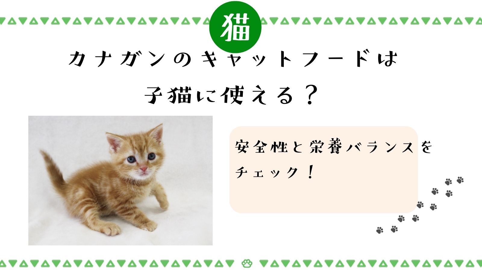 カナガンのキャットフードは子猫に使える？安全性と栄養バランスをチェック！