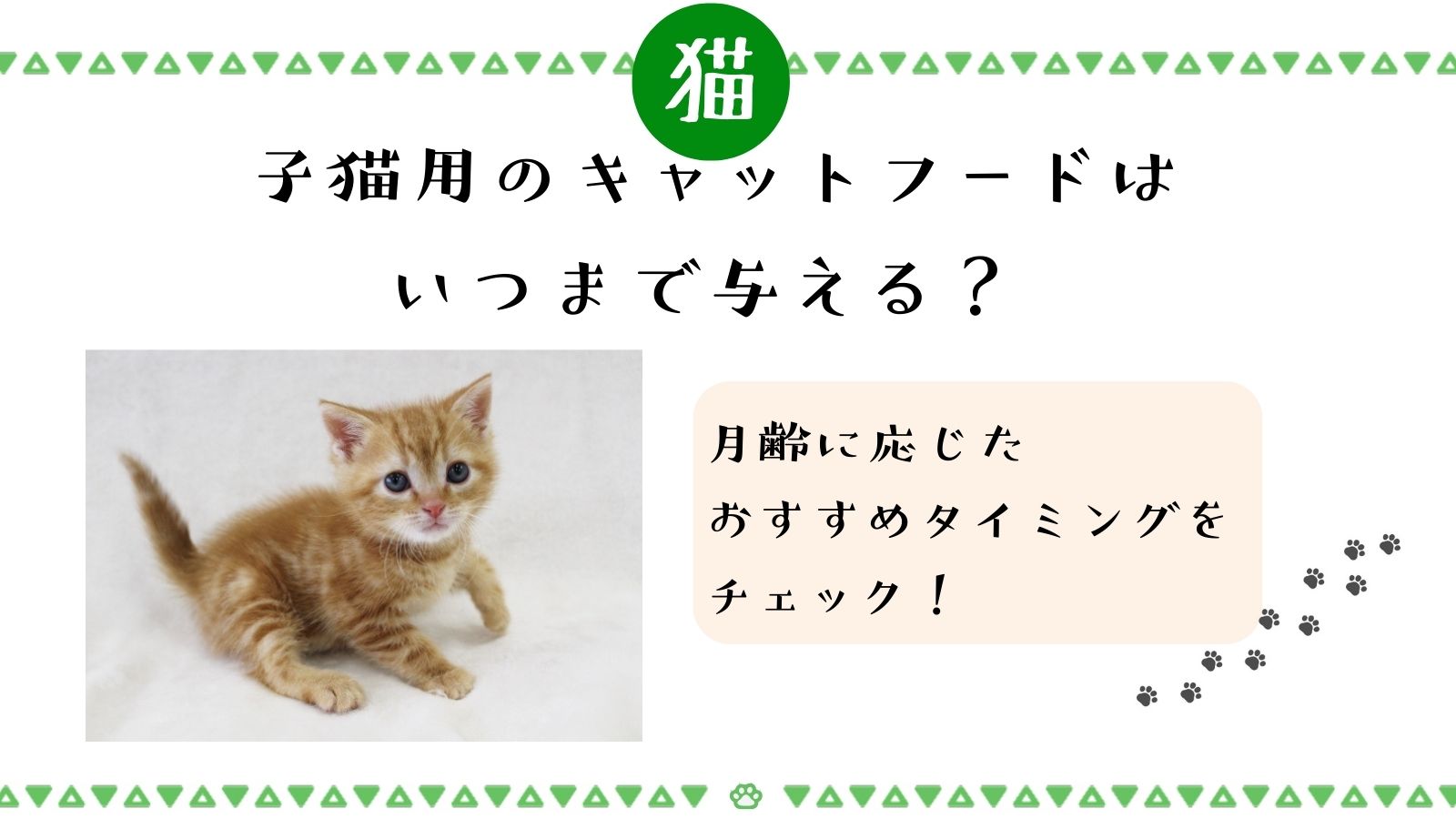 子猫用のキャットフードはいつまで与える？月齢に応じたおすすめのタイミングをチェック!