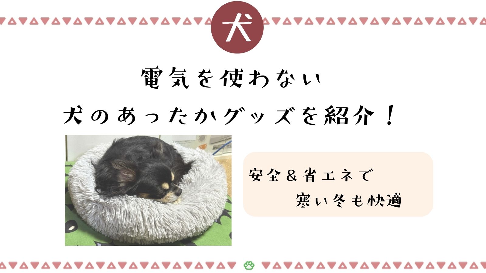 電気を使わない犬のあったかグッズおすすJ女5選