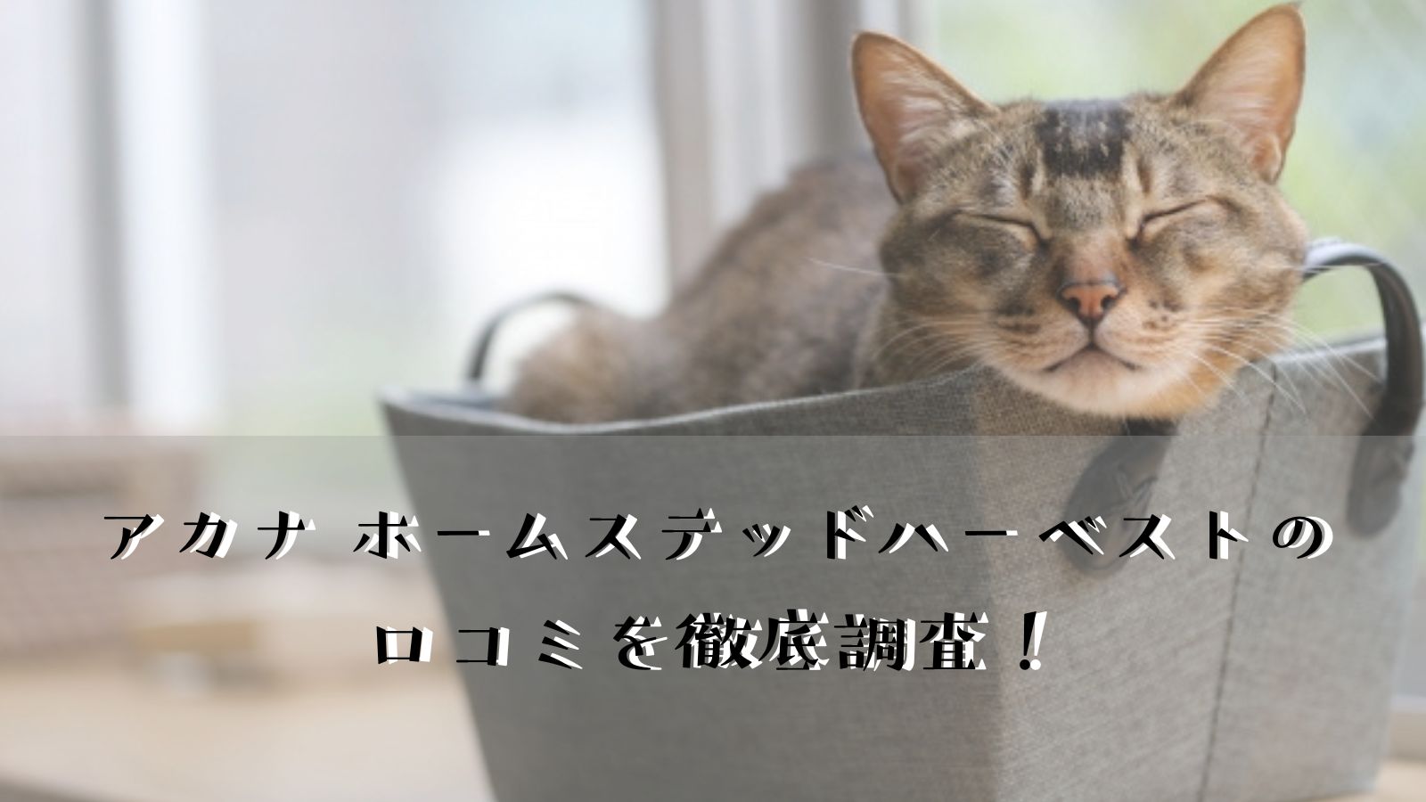 アカナ ホームステッドハーベストの 口コミを徹底調査！