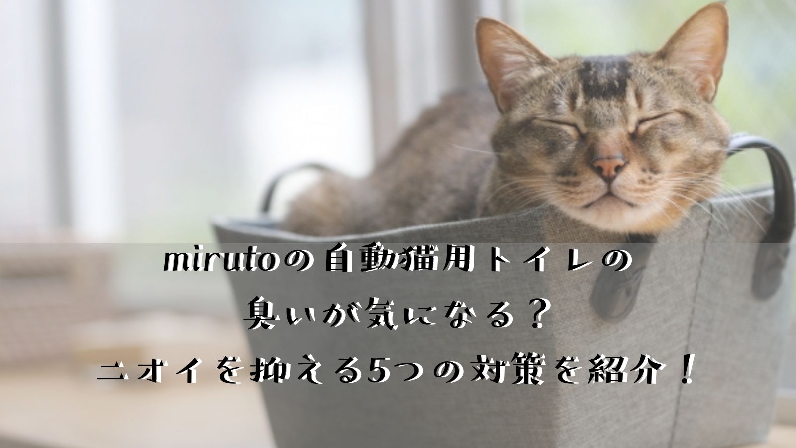 mirutoの自動猫用トイレの臭いが気になる？ニオイを抑える3つの対策を紹介！